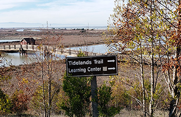 Don Edwards Wildlife Refuge