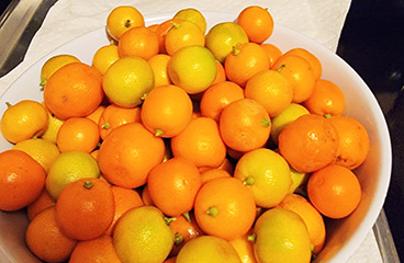 Connecting with Food